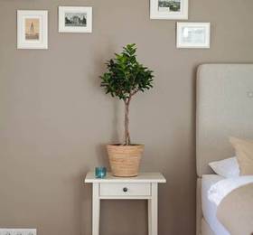 Туры в Stadtbleibe Apartments в Германии