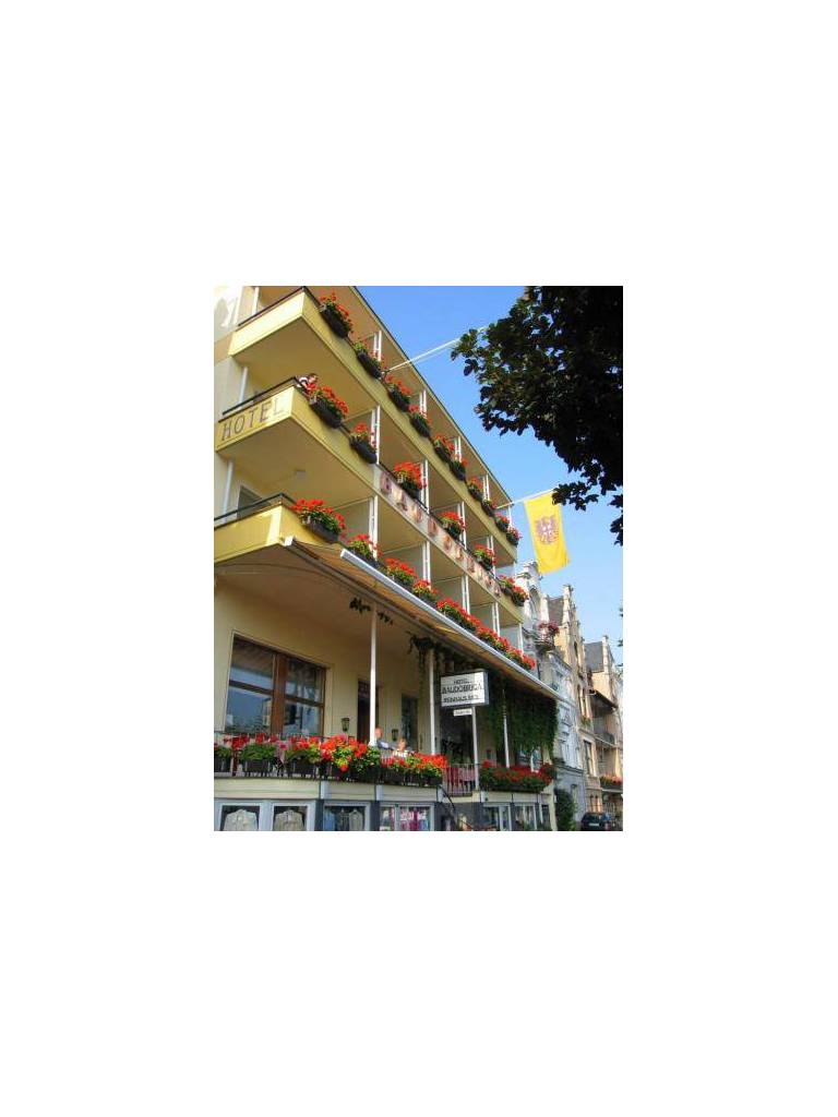 Baudobriga Rheinhotel 