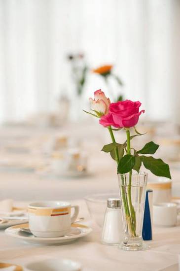 Hotel Aigner 3* Германия, Бонн