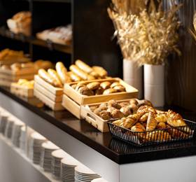 Отдых в Clarion Congress Hotel Ceske Budejovice  - Чехия, Ческе-Будеёвице