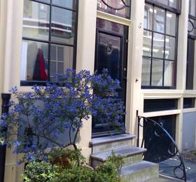 Туры в Authentic Jordaan Apartment  в Нидерландах