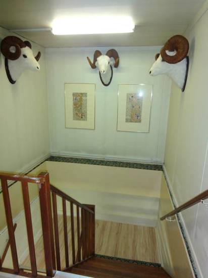 Budget Hostel Bargain Toko  Нидерланды, Амстердам