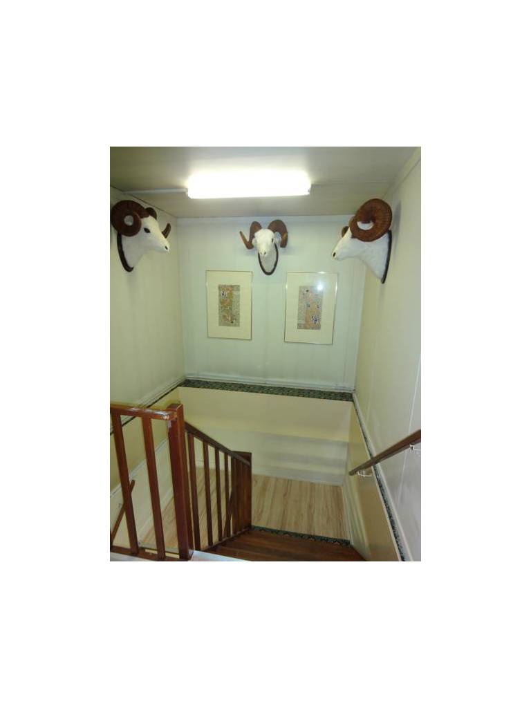 Budget Hostel Bargain Toko 