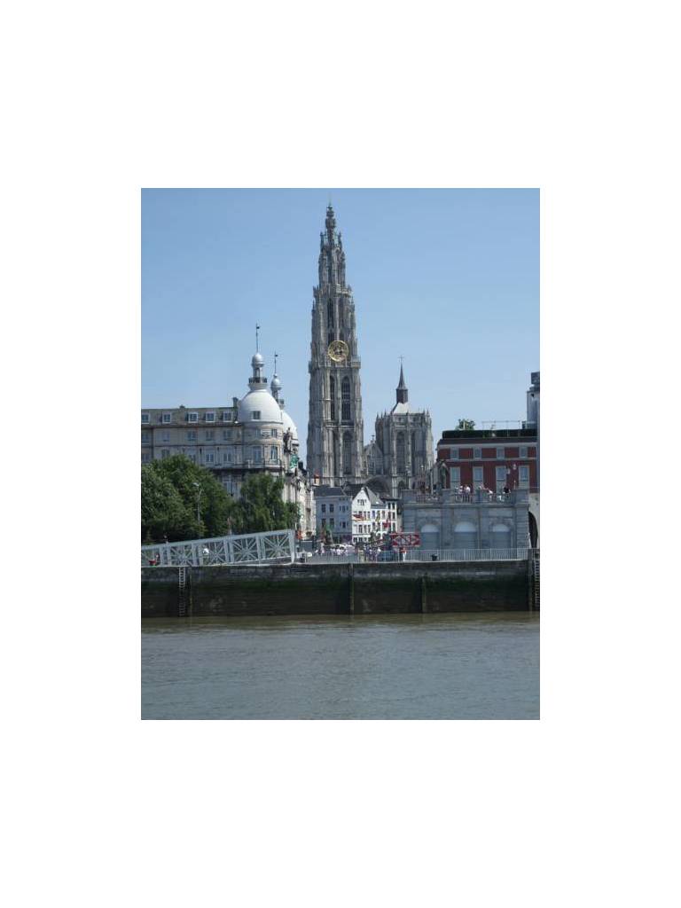 De Koning Van Spanje