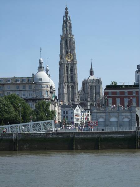 De Koning Van Spanje