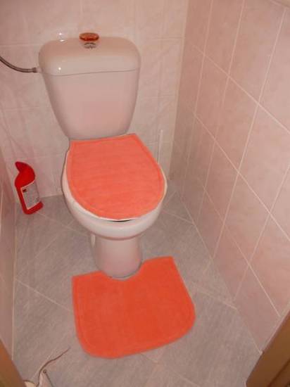 Apartment I. P. Pavlova  Чехия, Карловы Вары