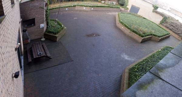 Condo Gardens