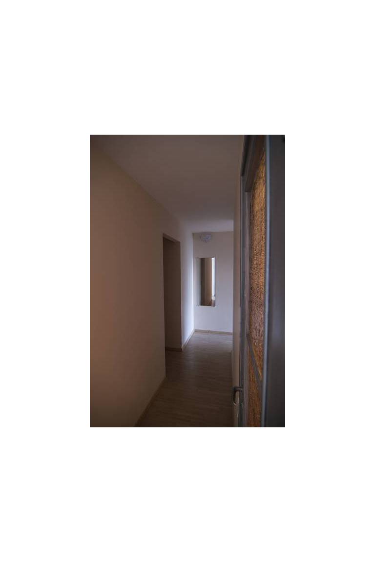 Palm Street Apartment 