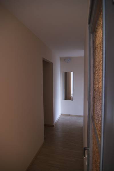 Palm Street Apartment 