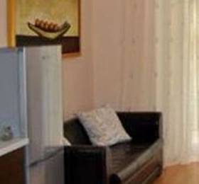 Туры в Apartments Borivojova  в Чехии