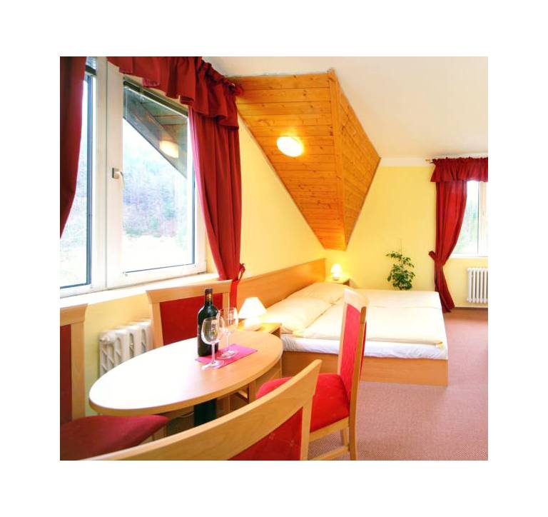 Hotel Harrachov Inn 