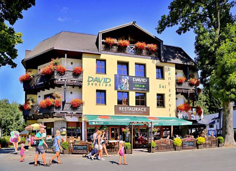 David Hotel Pension 