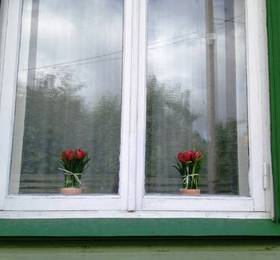 Отдых в Merevaik Apartment  - Эстония, Пярну