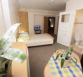 Отдых в Guest House Drusva  - Литва, Друскининкай