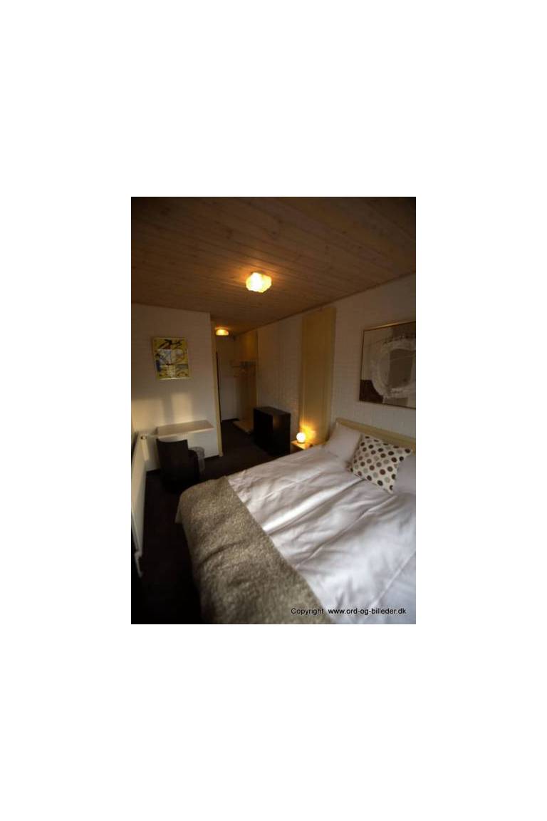 Hotel Birkegaarden 