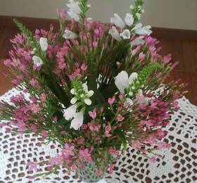 Отдых в Writers Apartment  - Литва, Вильнюс