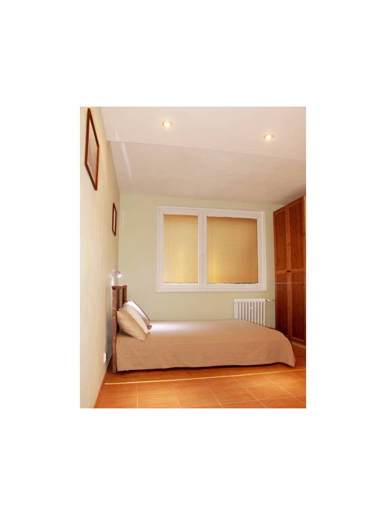 Apartment Slavia 