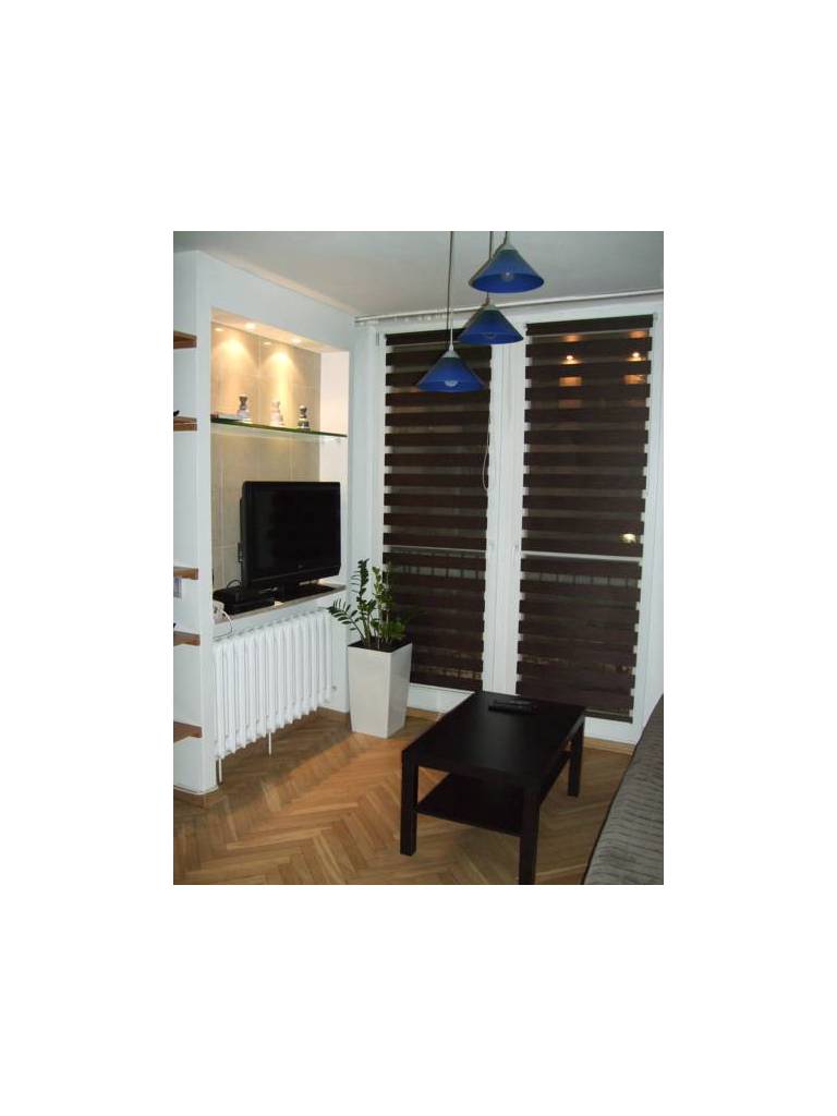 Atrium Apartment 