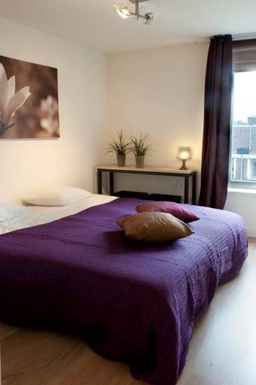 Purple Apartment  Нидерланды, Амстердам