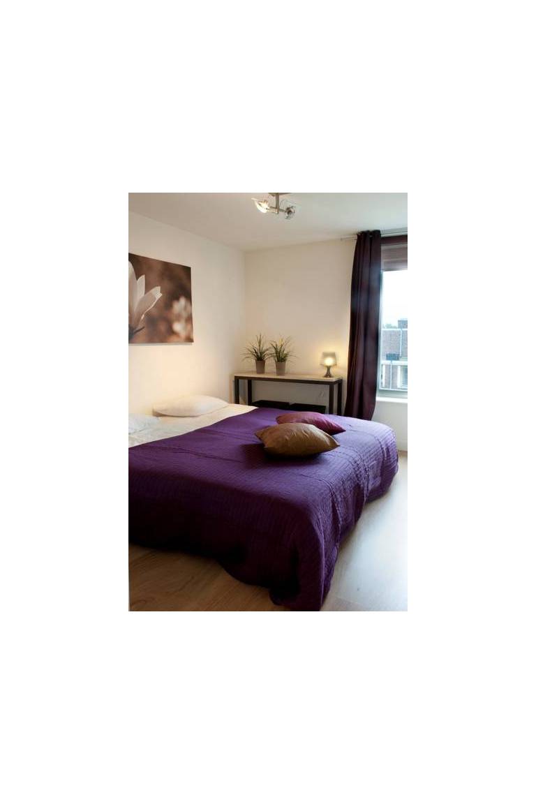 Purple Apartment 