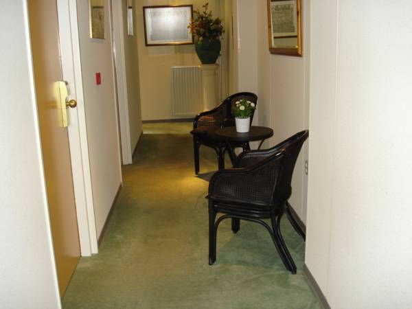 Hotel Tollenique  3* Нидерланды, Тернеузен