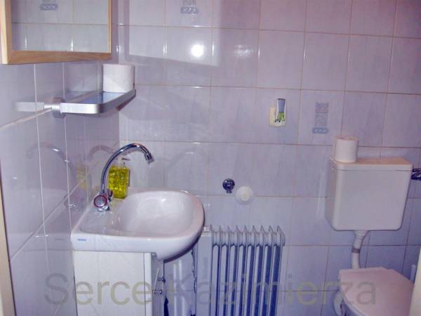 Serce Kazimierza 