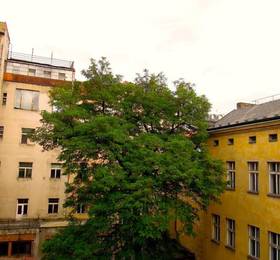 Туры в Citystay Hostel  в Чехии