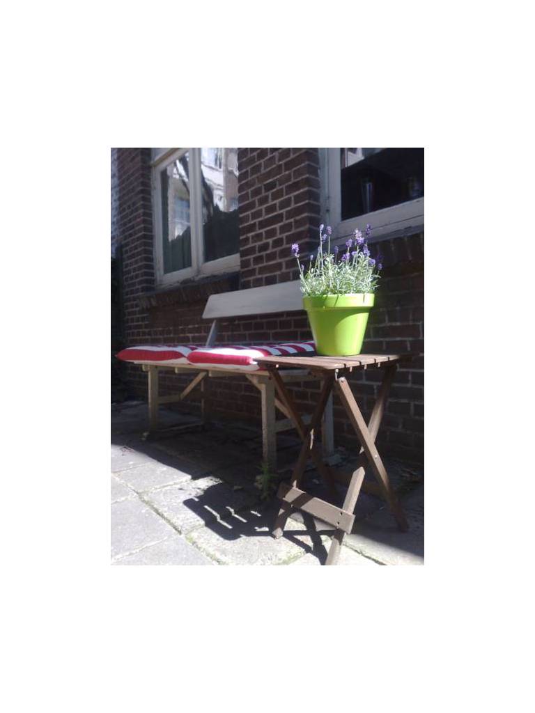 Dorien's Place 