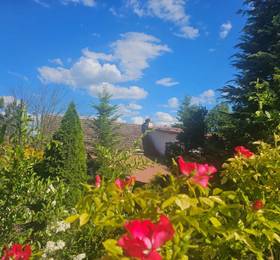 Отдых в Park Apartment  - Польша, Краков