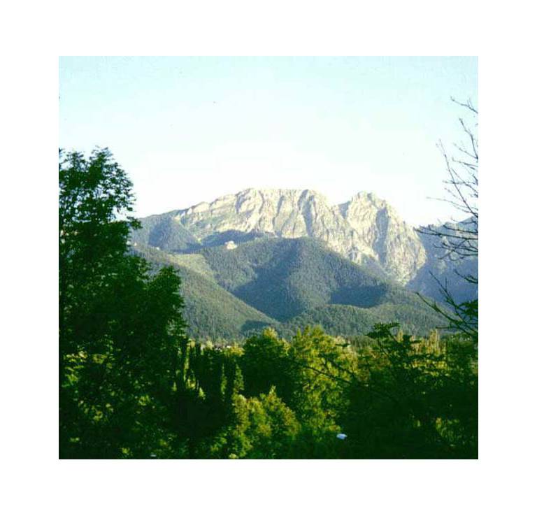 Domek Turnicka 