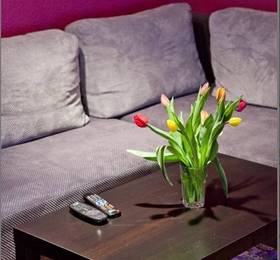 Friends Hostel  в Вроцлаве