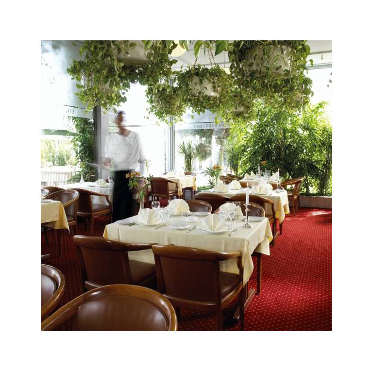 Hotel La Tour 