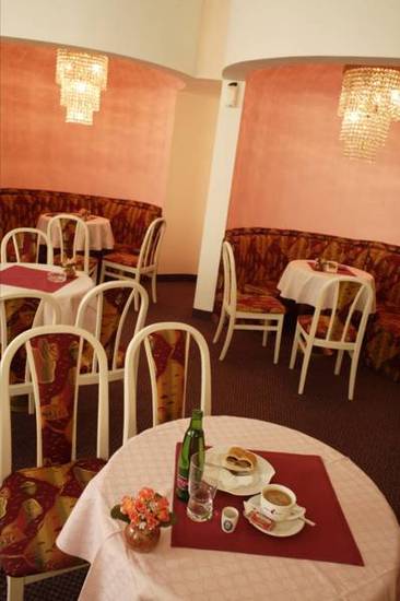 Hotel Elektra  3* Чехия, Яхимов