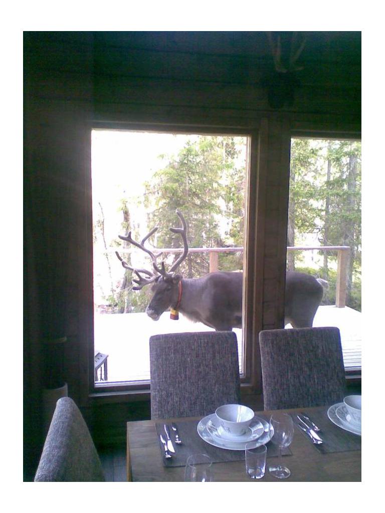 Chalet Aurora 
