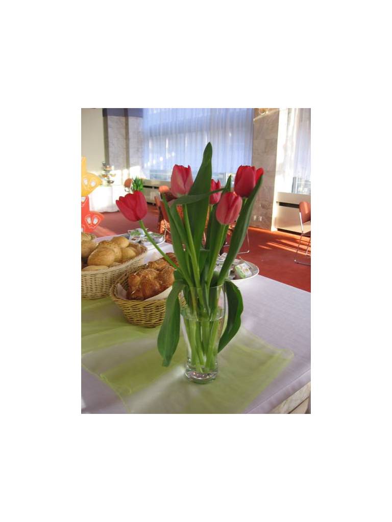 Hotel Centrum 