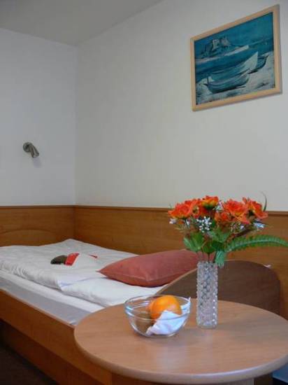 Hotel Luzice  3* Чехия, Яхимов