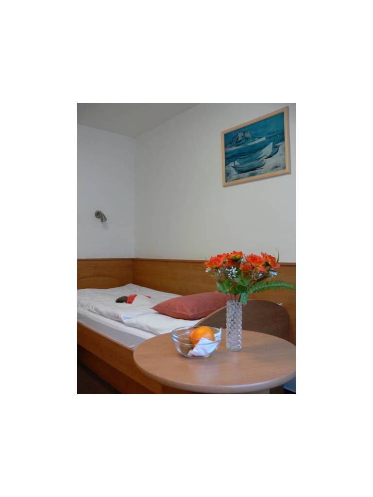 Hotel Luzice 