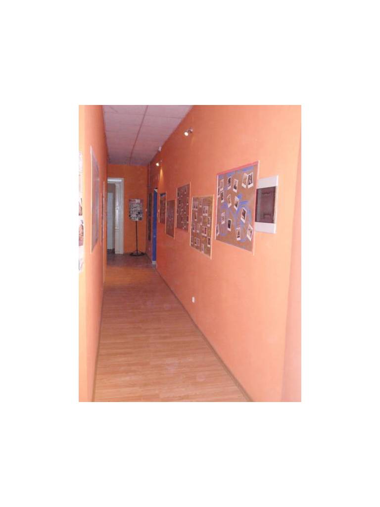 Honey Hostel 