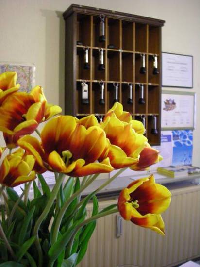 Hotel Egmont  3* Бельгия, Мехелен