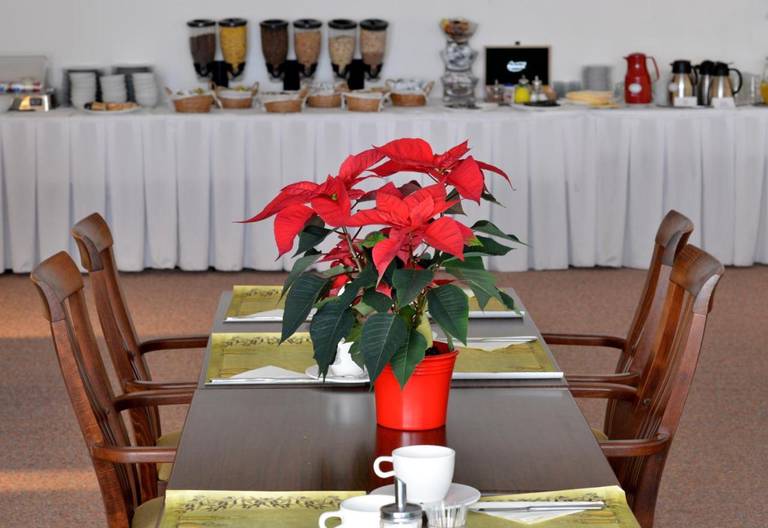 Hotel Dvorak 