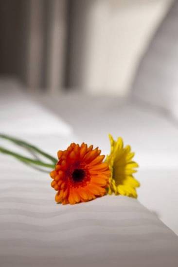 Dahlia Inn - Design Hotel Prague 3* Чехия, Прага