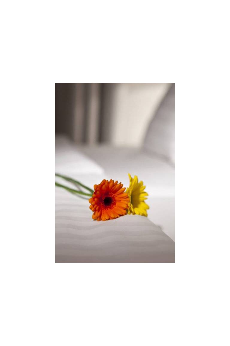 Dahlia Inn - Design Hotel Prague