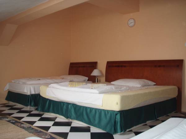 Hotel Aron  3* Чехия, Острава