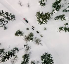 Туры в Camp Ripan  в Швеции