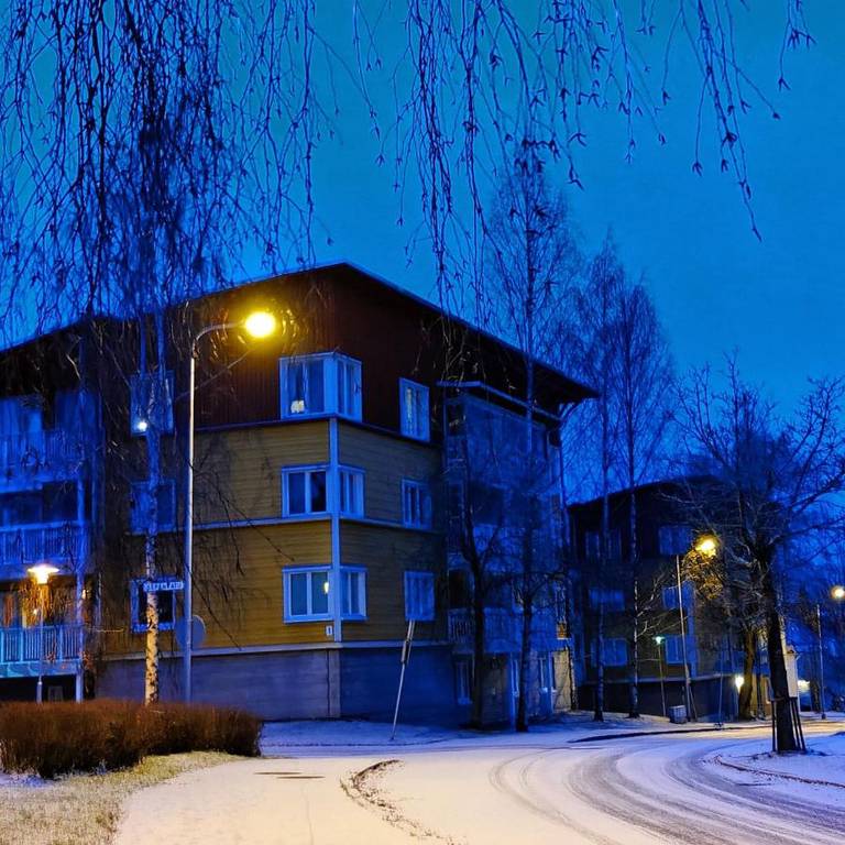 Pinjakoti 