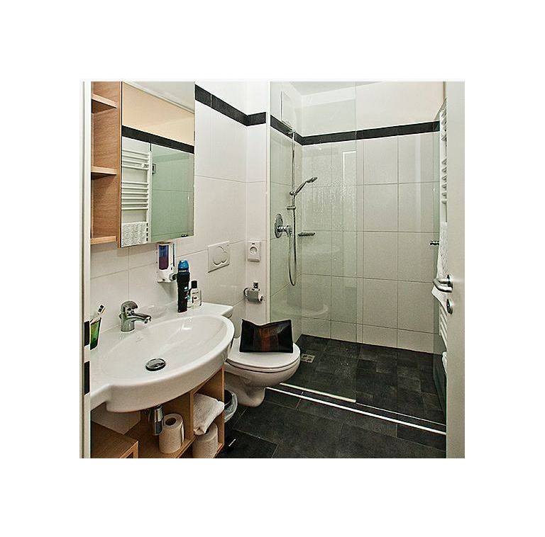 Sporthotel Dr. Karl Renner Hinterglemm 
