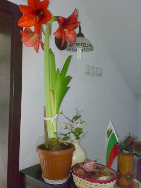 Keremidchieva Kushta Guest House  3*