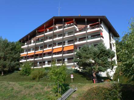 Montana-La-Cote BD3 - Apt 41  3* Швейцария, Кран-Монтана