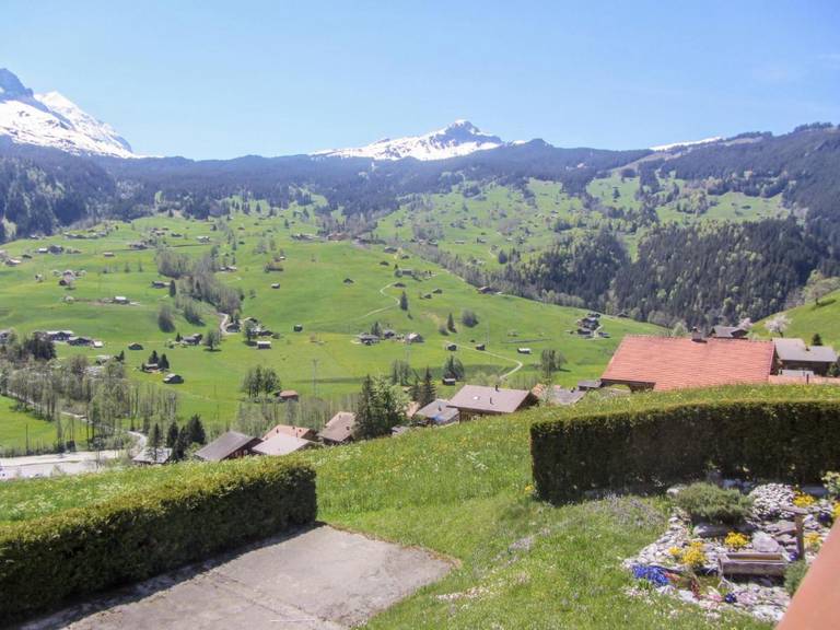 Chalet Apartment Mittelhorn 