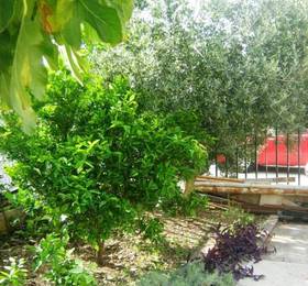 Dubrovnik Apartments Smile  в Дубровнике